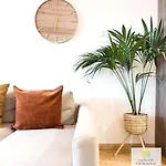 Apartamento Beautiful View Roque Del Conde